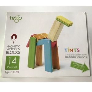 Tegu Magnetic TINTS Wooden Blocks Set 14 Piece Toy